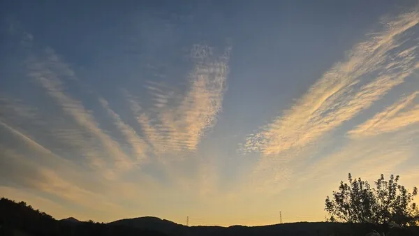 삽화