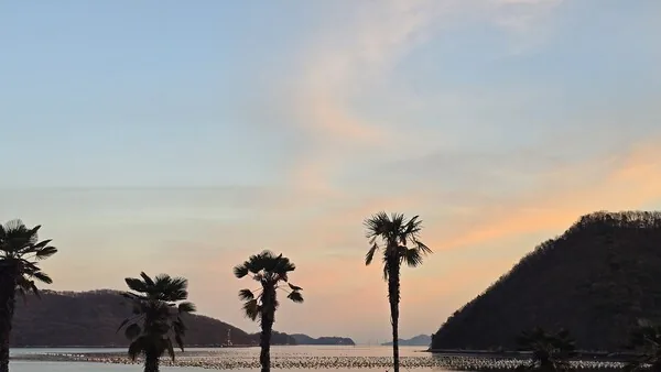 ‘세상 풍속대로"