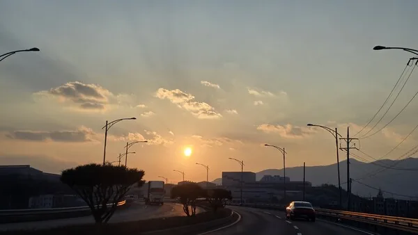 삽화
