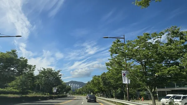 삽화