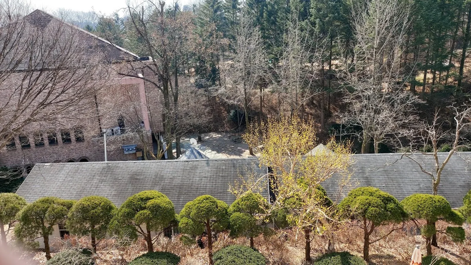 삽화