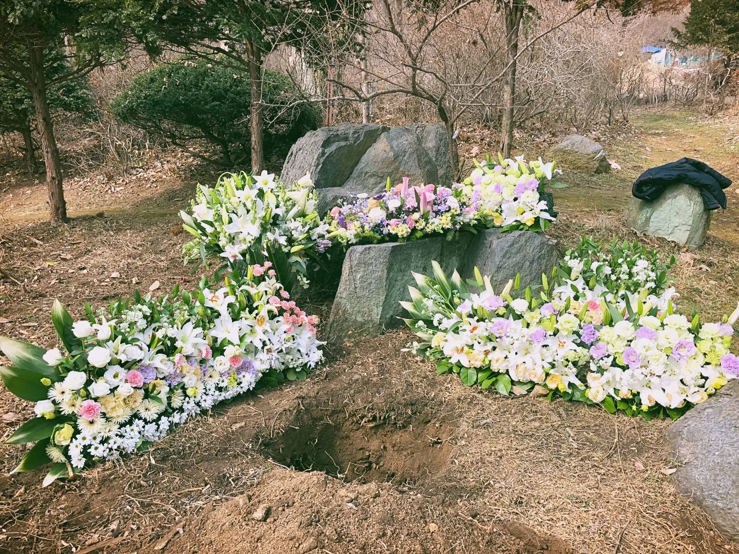 삽화