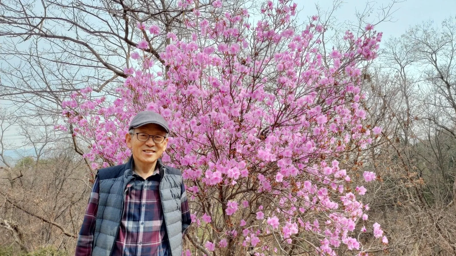 삽화