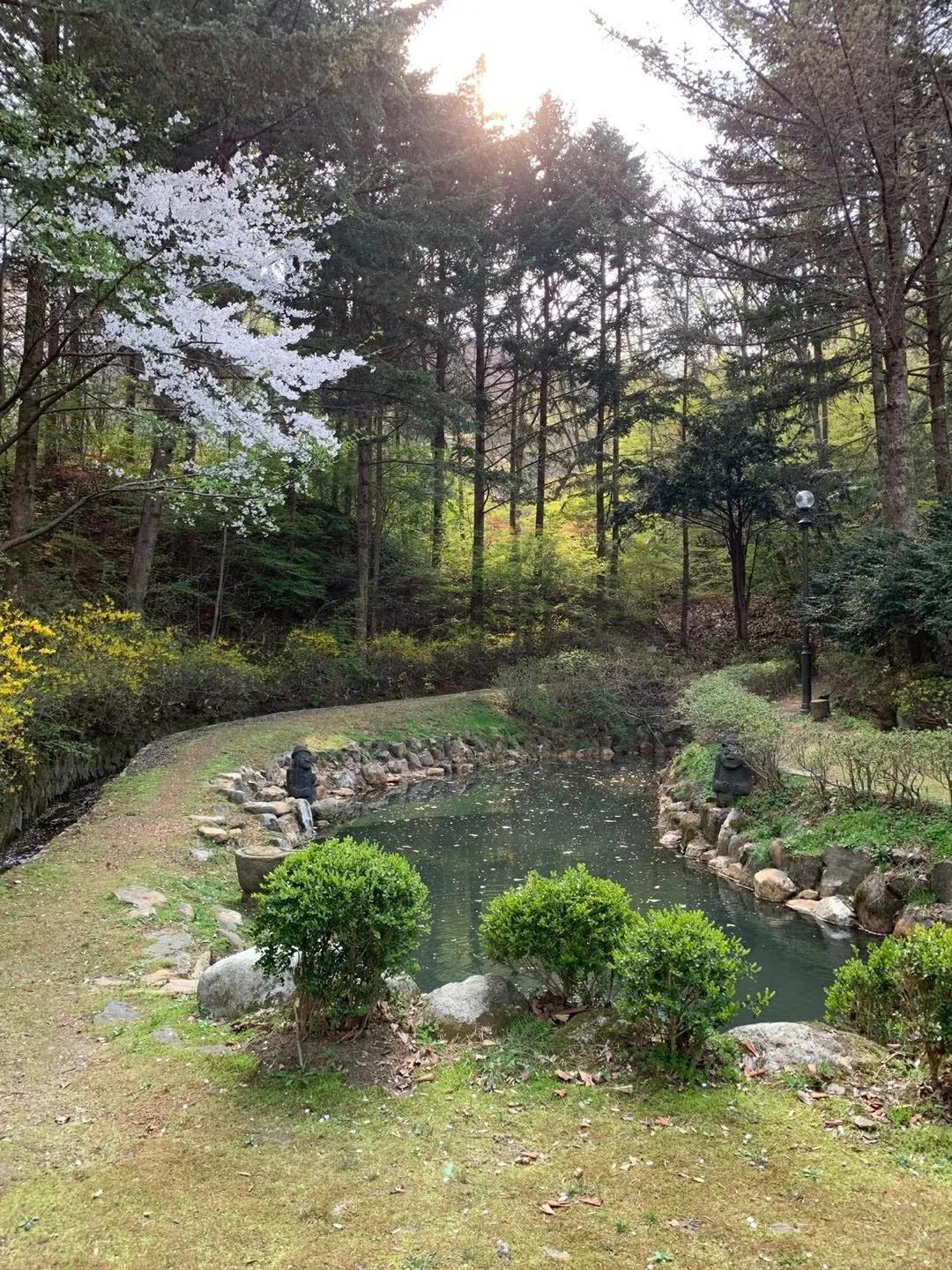 삽화