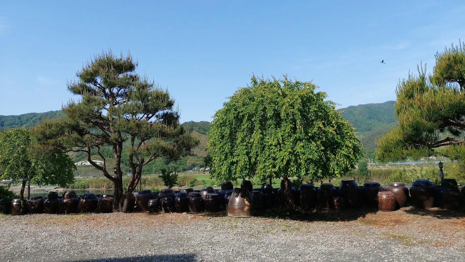 삽화