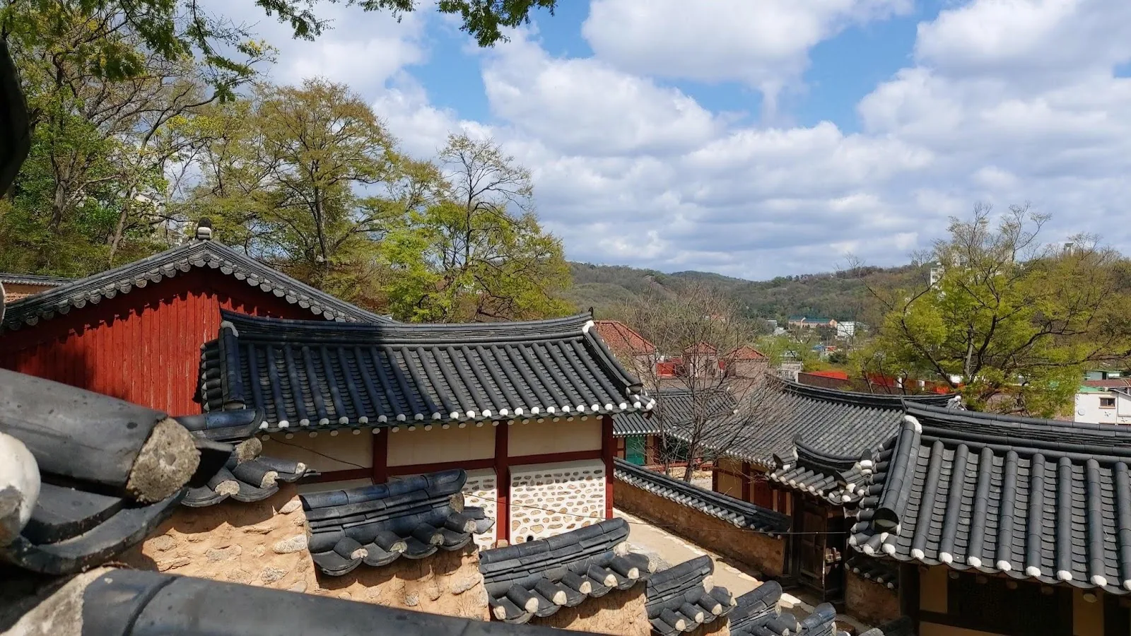 삽화