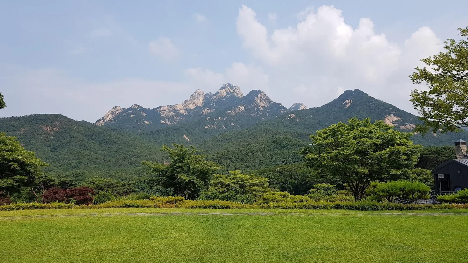 삽화