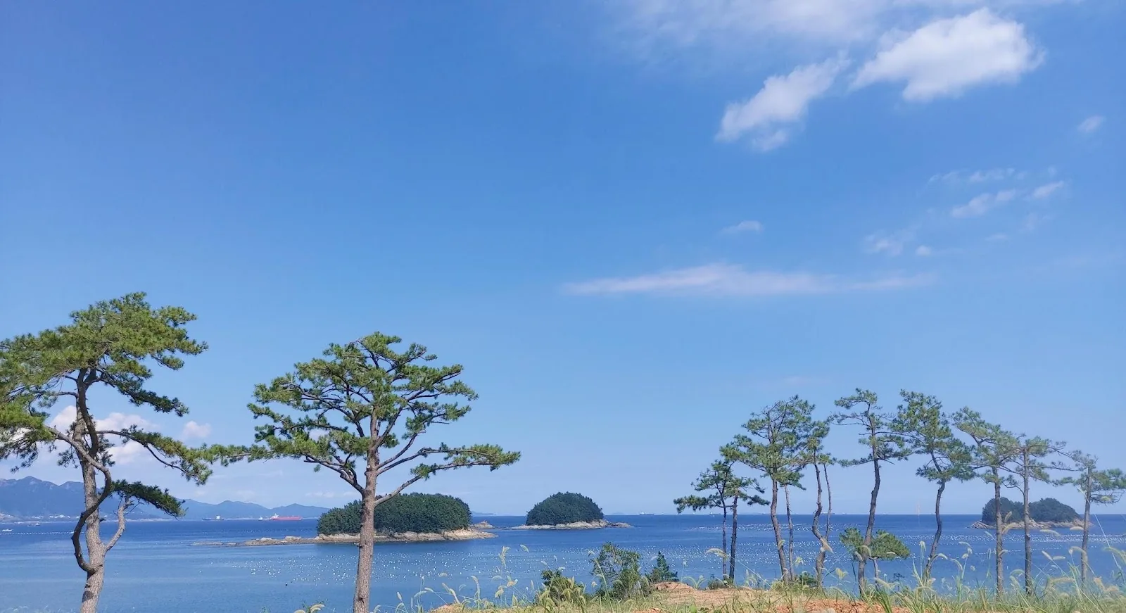삽화