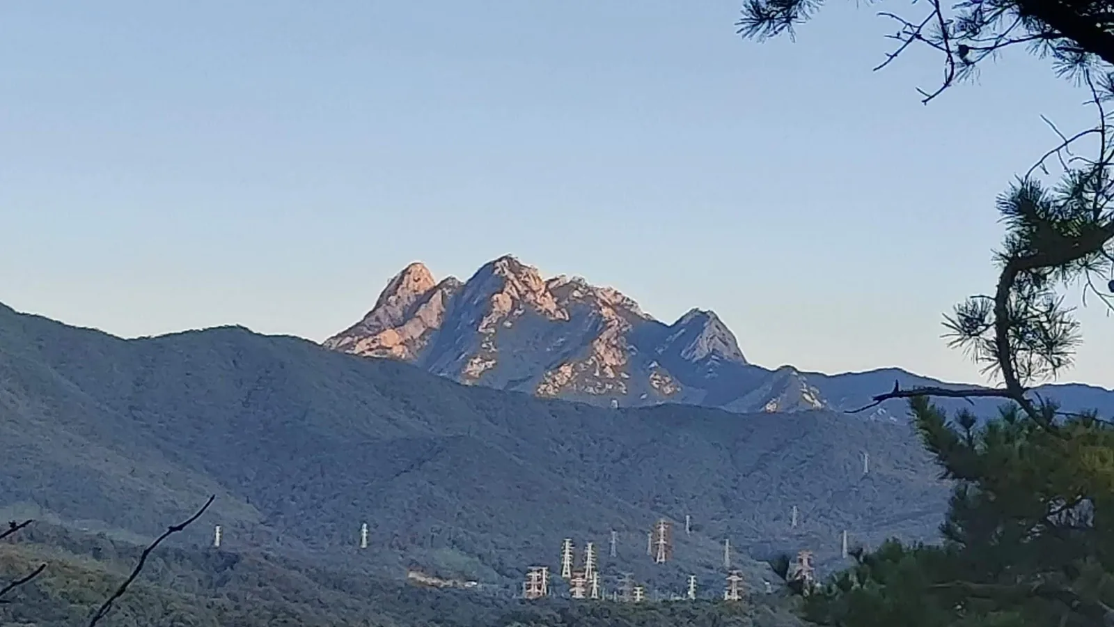 삽화