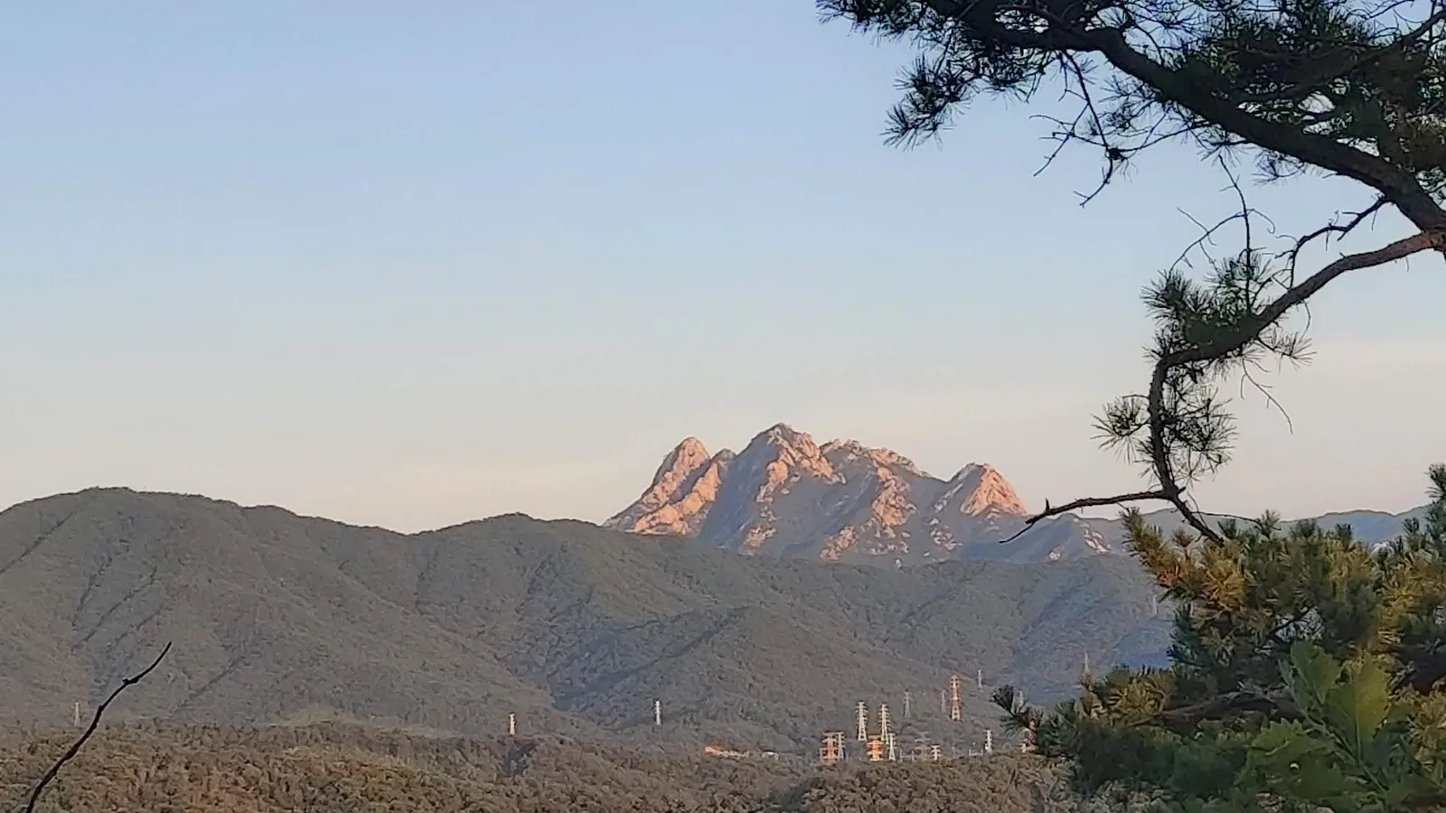 삽화