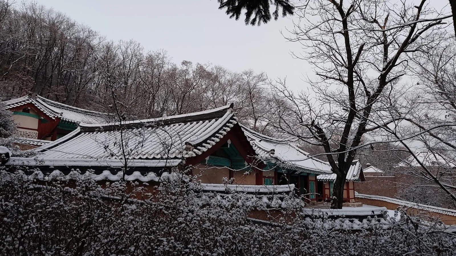 삽화