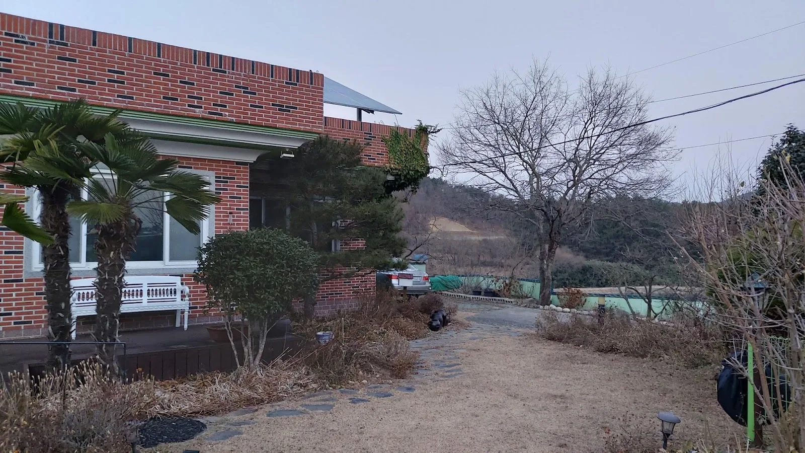삽화