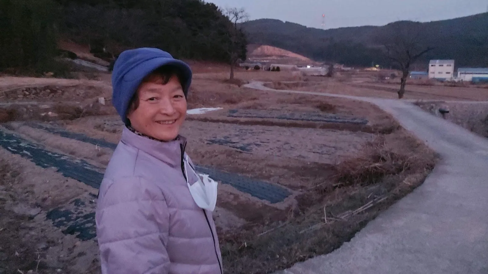 삽화