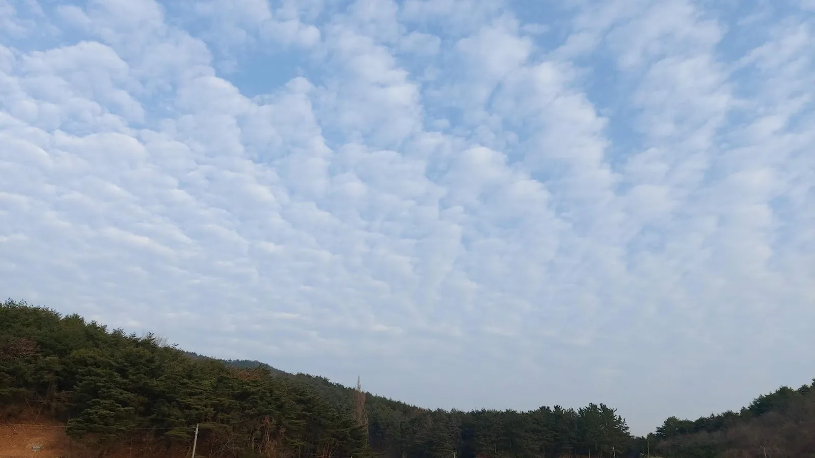 삽화