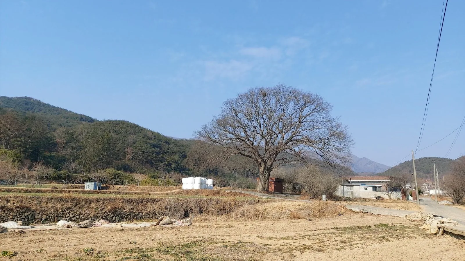 삽화