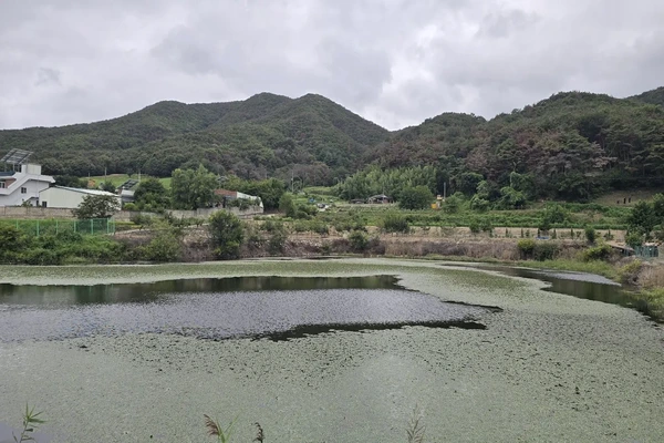 전체 시리즈